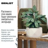 Настольное кашпо для цветов IDEALIST Геометри, цвет айвори, Ш30 Д30 В15 см, 10 л, 3 кг фотография №1