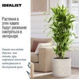 Напольное кашпо для цветов IDEALIST Флоранжери, круглое, кремовое, Д42 В41 см, 56 л, 8 кг фотография №1