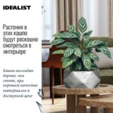 Настольное кашпо для цветов IDEALIST Геометри, серебристое, Ш30 Д30 В15 см, 10 л, 2.5 кг фотография №4