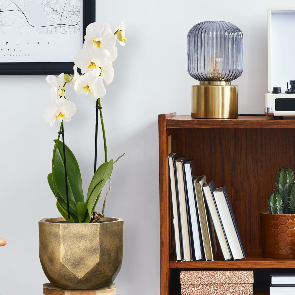 Настольное кашпо для цветов IDEALIST Геометри, цвет золотистый шик, Д23 В17 см, 7 л, 1.5 кг фотография №10 Настольное кашпо для цветов IDEALIST Геометри, цвет золотистый шик, Д23 В17 см, 7 л, 1.5 кг фотография №10