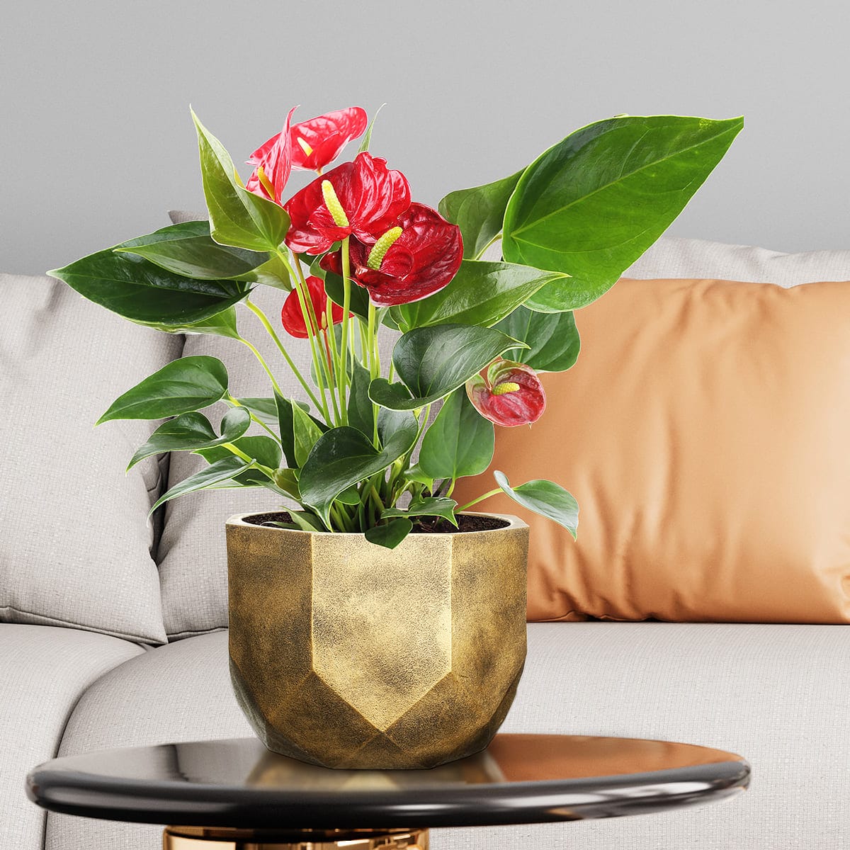 Настольное кашпо для цветов IDEALIST Геометри, цвет золотистый шик, Д23 В17 см, 7 л, 1.5 кг фотография №11 Настольное кашпо для цветов IDEALIST Геометри, цвет золотистый шик, Д23 В17 см, 7 л, 1.5 кг фотография №11