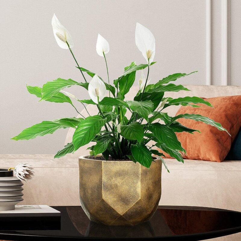 Настольное кашпо для цветов IDEALIST Геометри, цвет золотистый шик, Д30 В22 см, 15 л, 3 кг