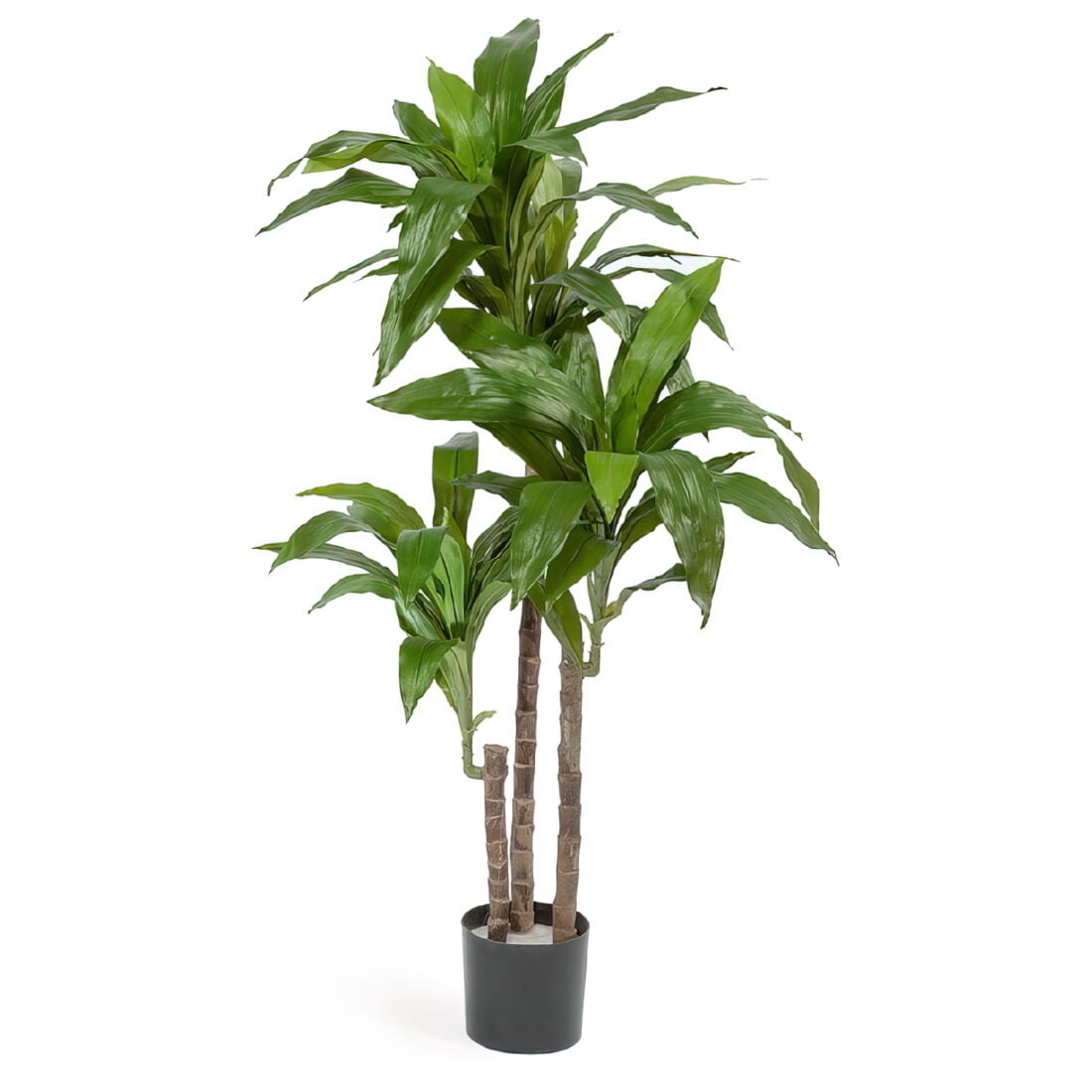 Искусственное растение Драцена Джанет Крейг зеленая, высота 125 см