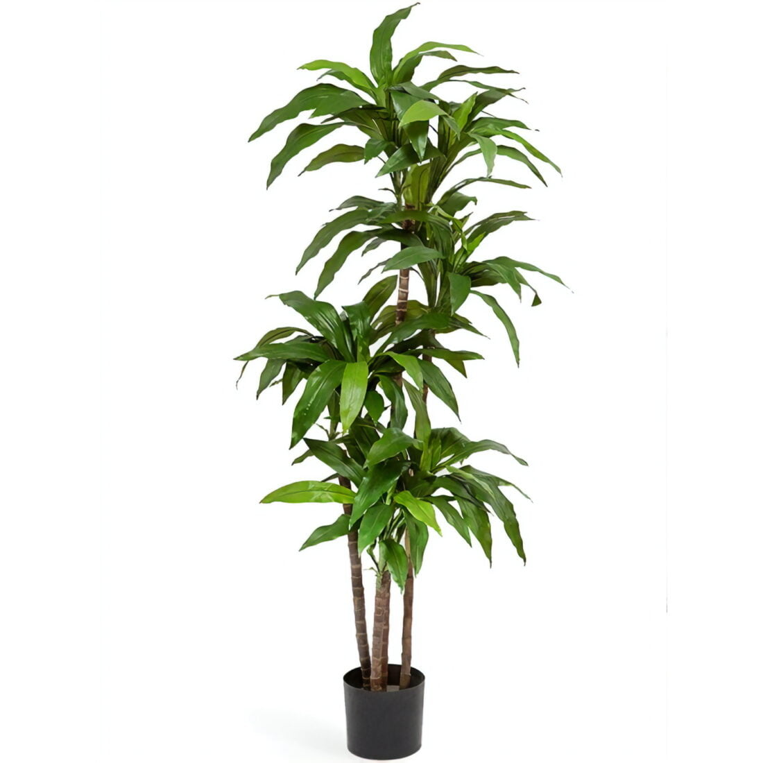 Искусственное растение Драцена Джанет Крейг зеленая, высота 150 см, для напольного кашпо