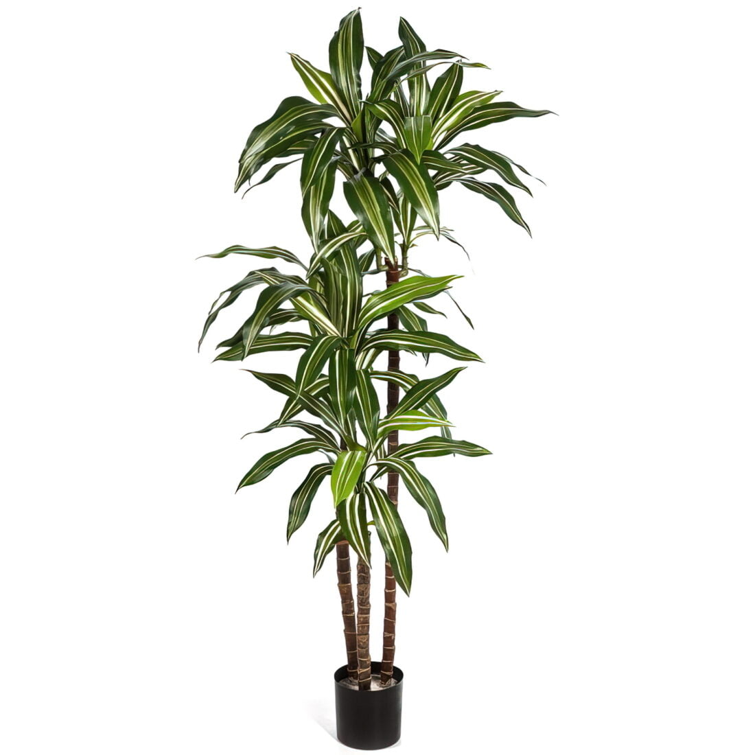 Искусственное растение Драцена Джанет Крейг бело-зеленая, высота 150 см, для напольного кашпо