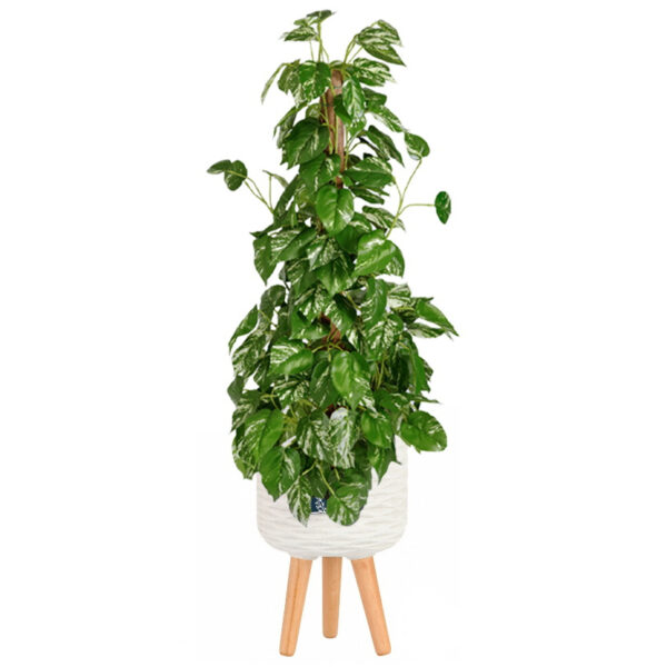 Искусственное растение Монстера, куст, высота 115 см, для напольного кашпо