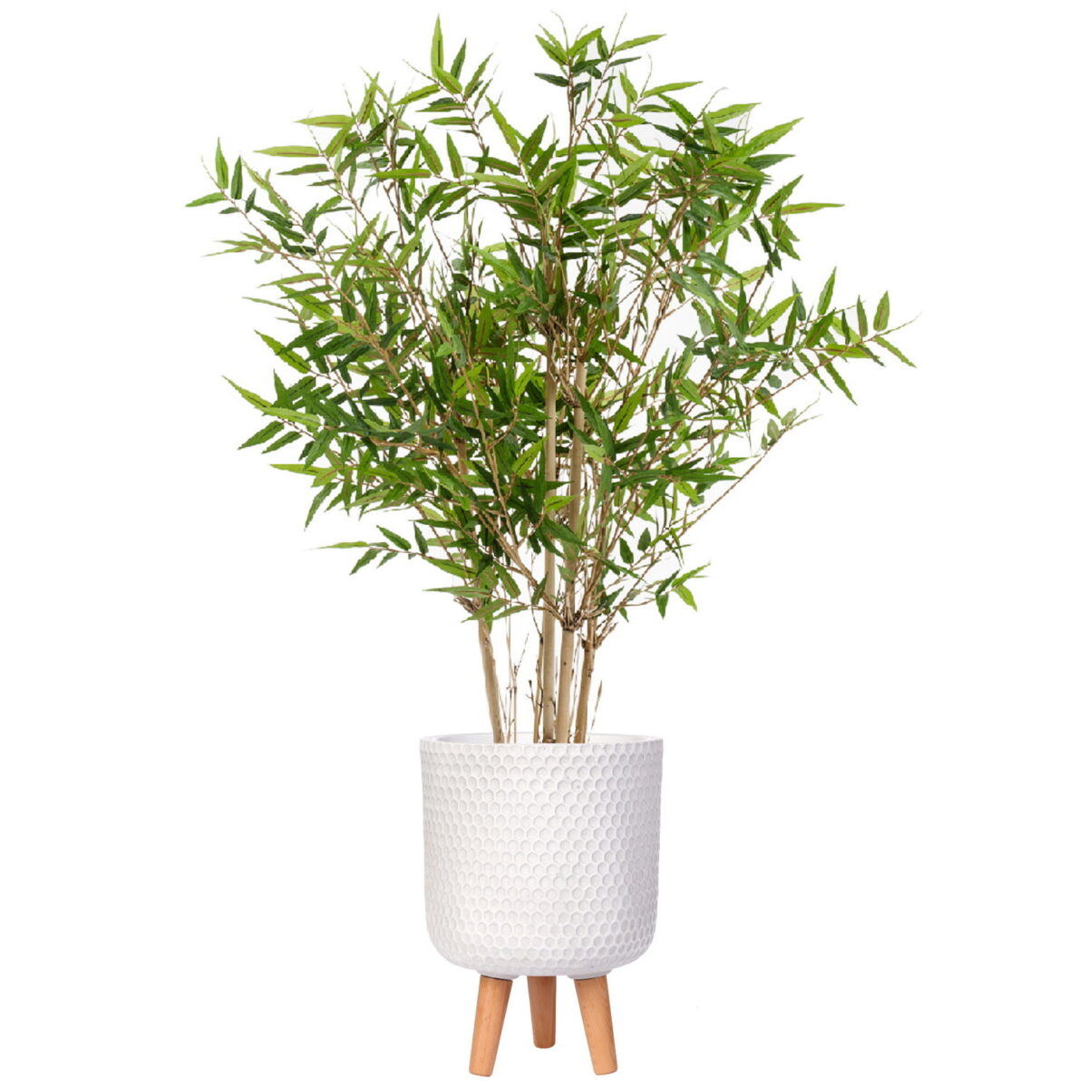 Искусственный бамбук японский в белом кашпо IDEALIST. Высота - 120 см.