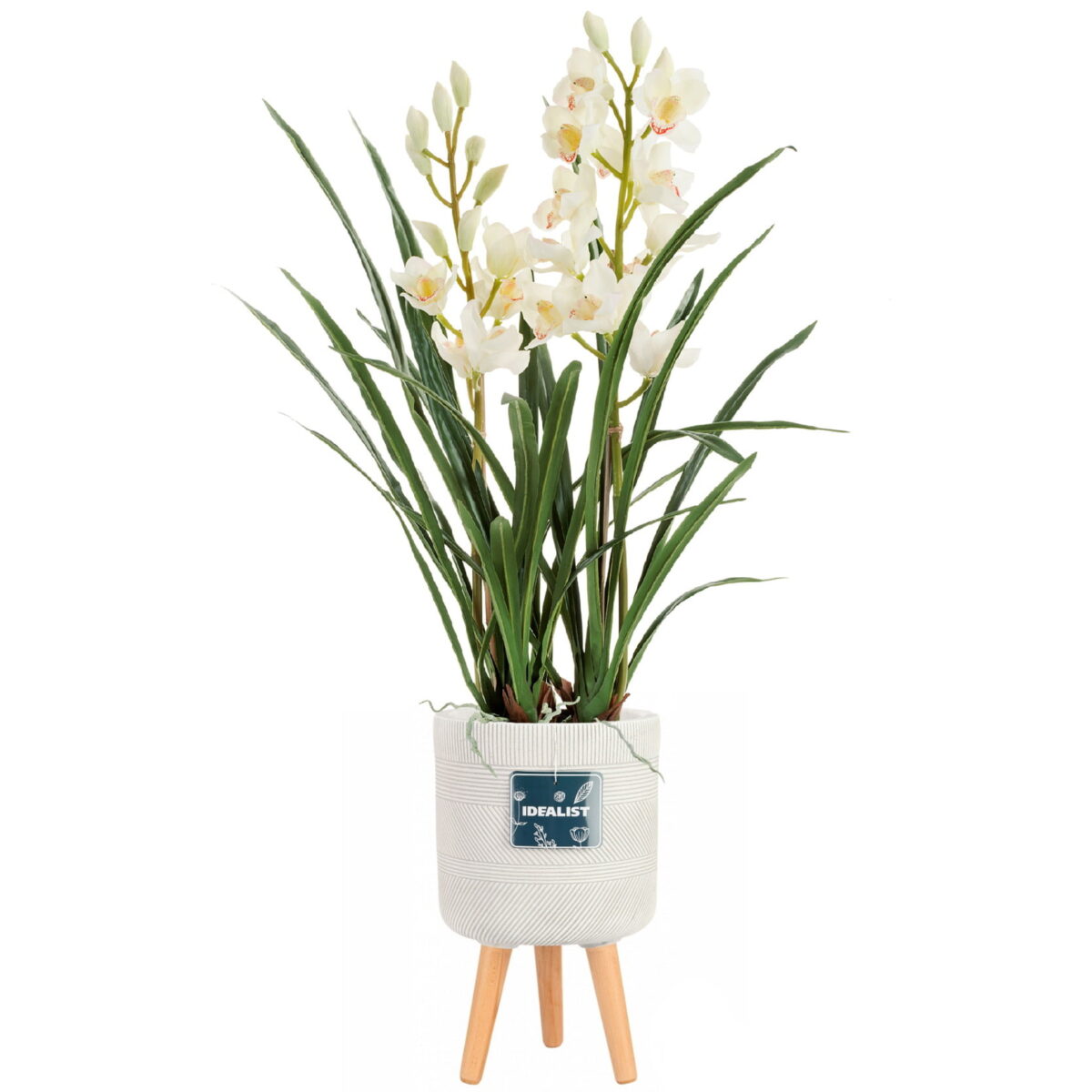 Цимбидиум искусственный в кашпо IDEALIST Страйп, цвет айвори. Общая высота - 115 см.