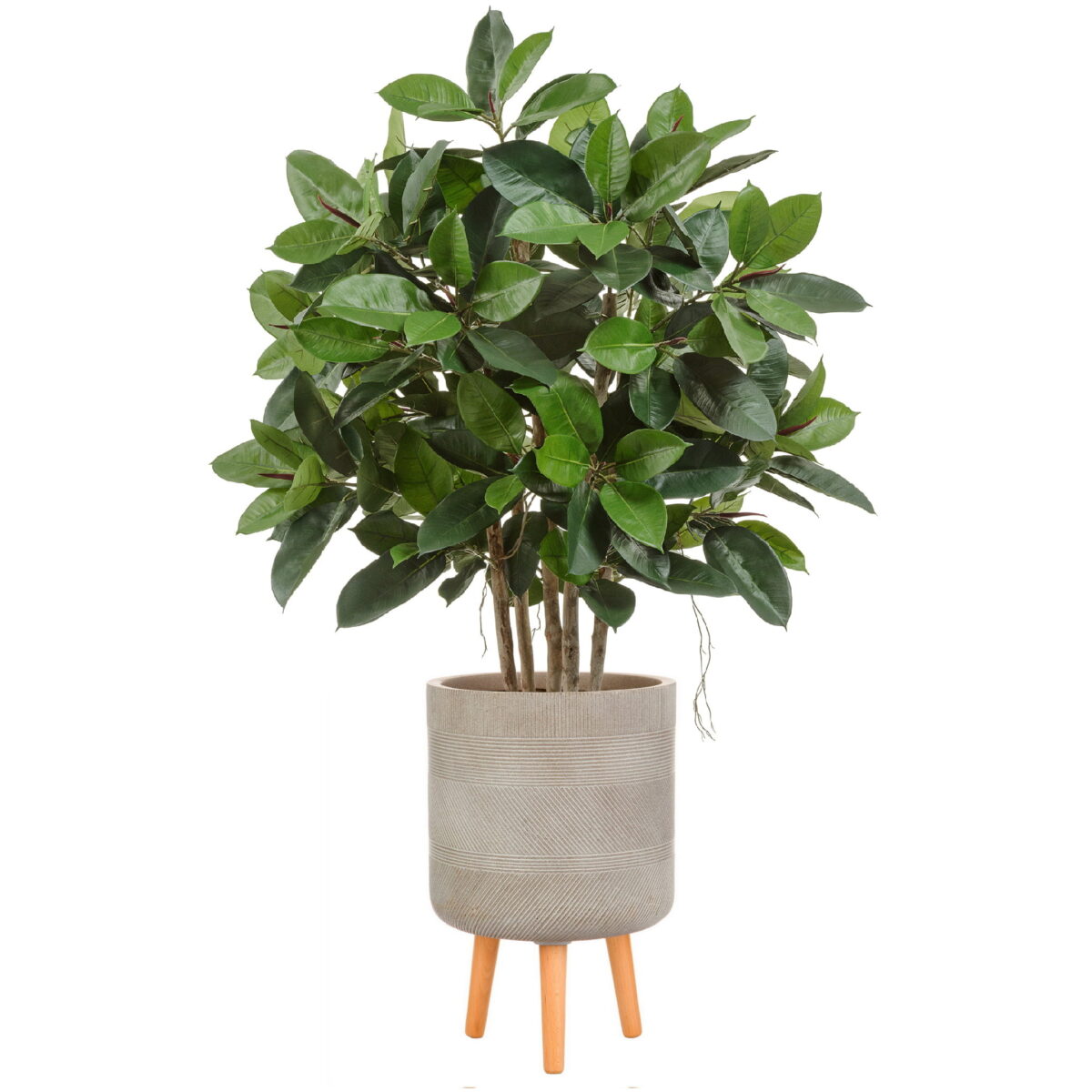 Фикус эластика искусственный в кашпо IDEALIST Страйп, цвет кофе с молоком. Общая высота - 135 см.