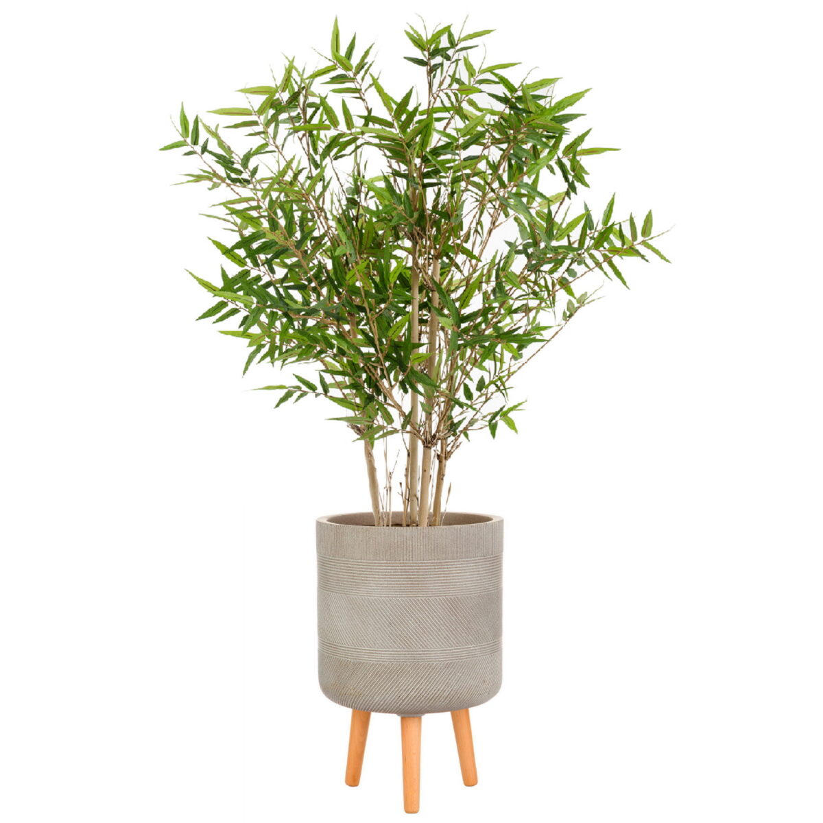 Бамбук новый японский искусственный в кашпо IDEALIST Страйп, цвет кофе с молоком. Общая высота - 125 см.