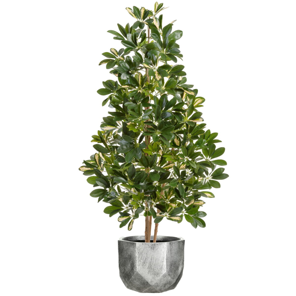 Шеффлера пестрая искусственная в кашпо IDEALIST Геометри. Общая высота - 140 см.