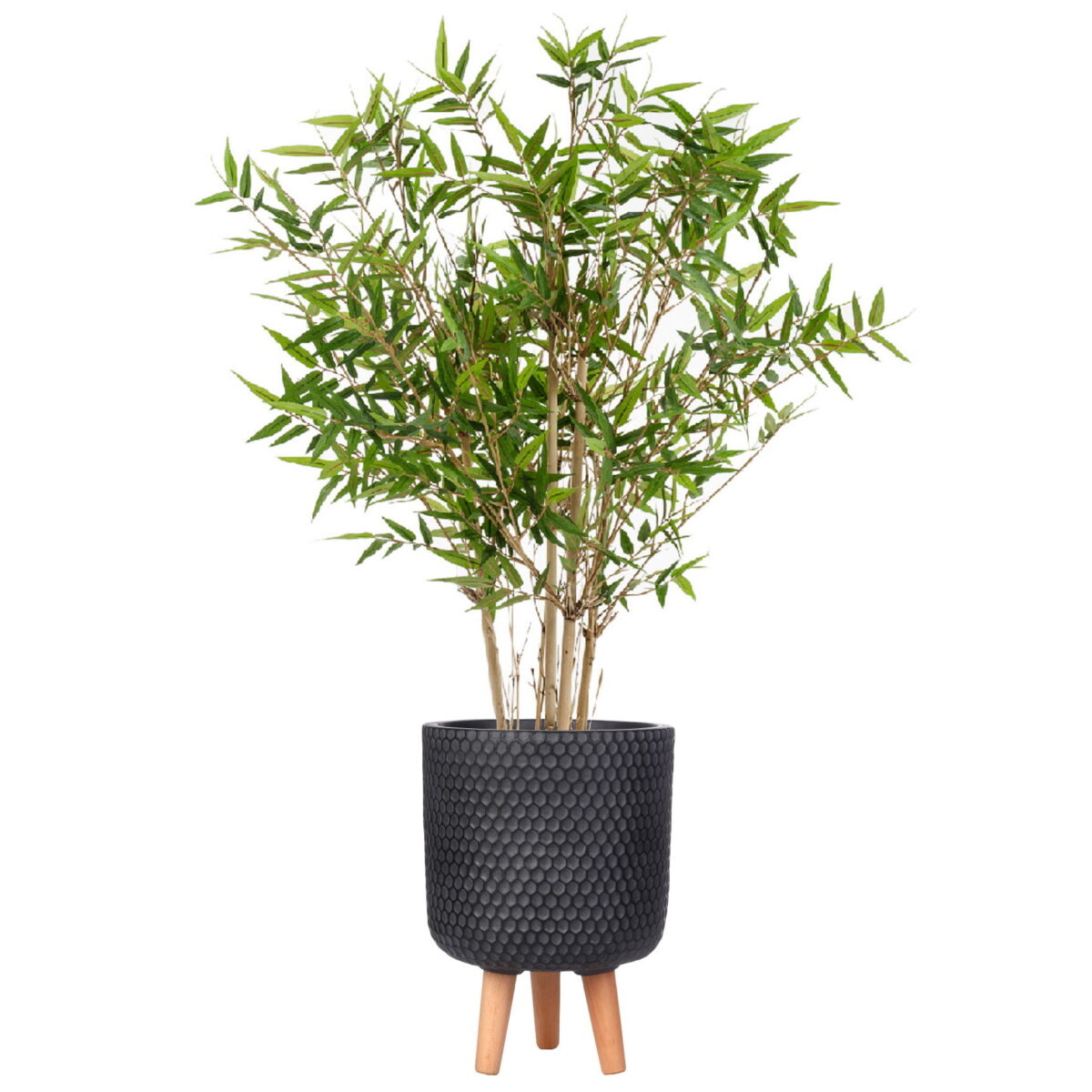 Бамбук японский искусственный в черном настольном кашпо IDEALIST Ханни. Высота - 120 см.
