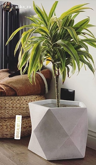 Искусственное растение Пальма Кентия (Ховея) де Люкс, высота 225 см, для напольного кашпо