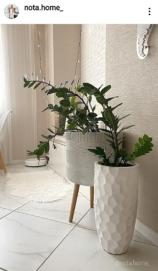 Искусственное растение Шеффлера зонтичная пестрая, высота 140 см