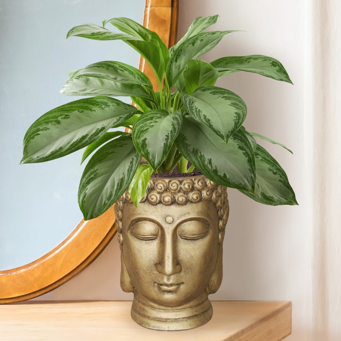 Настольное кашпо для цветов Idealist Lite Голова Будды, золотистое, Ш18 Д19 В24 см, 2.6 л, 1.5 кг