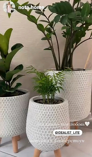 Искусственное растение Драцена Джанет Крейг бело-зеленая, высота 150 см