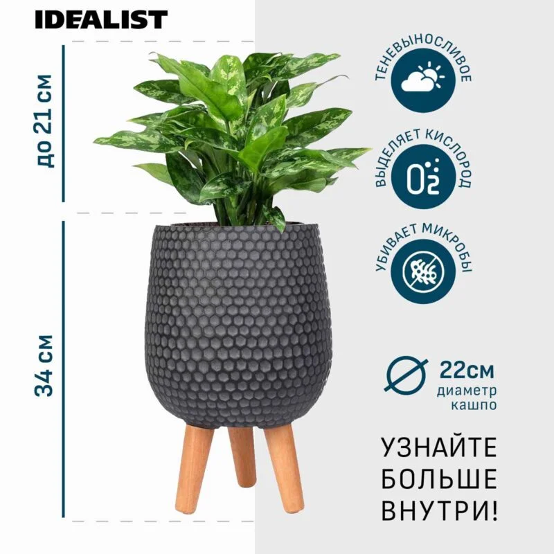 Аглаонема в черном кашпо IDEALIST на ножках, общая высота - 55 см