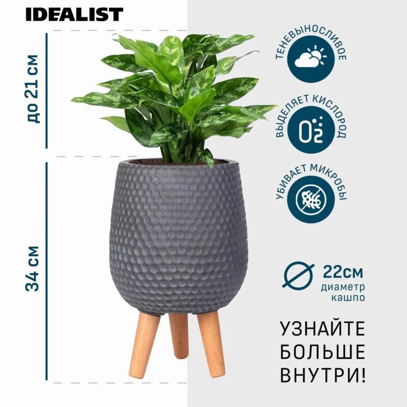 Аглаонема в дымчато-сером кашпо IDEALIST на ножках, общая высота - 55 см