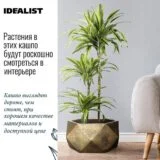 Напольное кашпо для цветов IDEALIST Геометри, цвет золотистый шик, Д41 В21 см, 27 л, 5 кг фотография №1