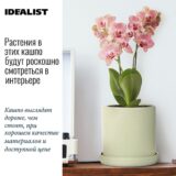 Настольное кашпо для цветов IDEALIST Ханни Керамик, фисташковое, Д16 В16 см, 2 л, 1.3 кг фотография №1