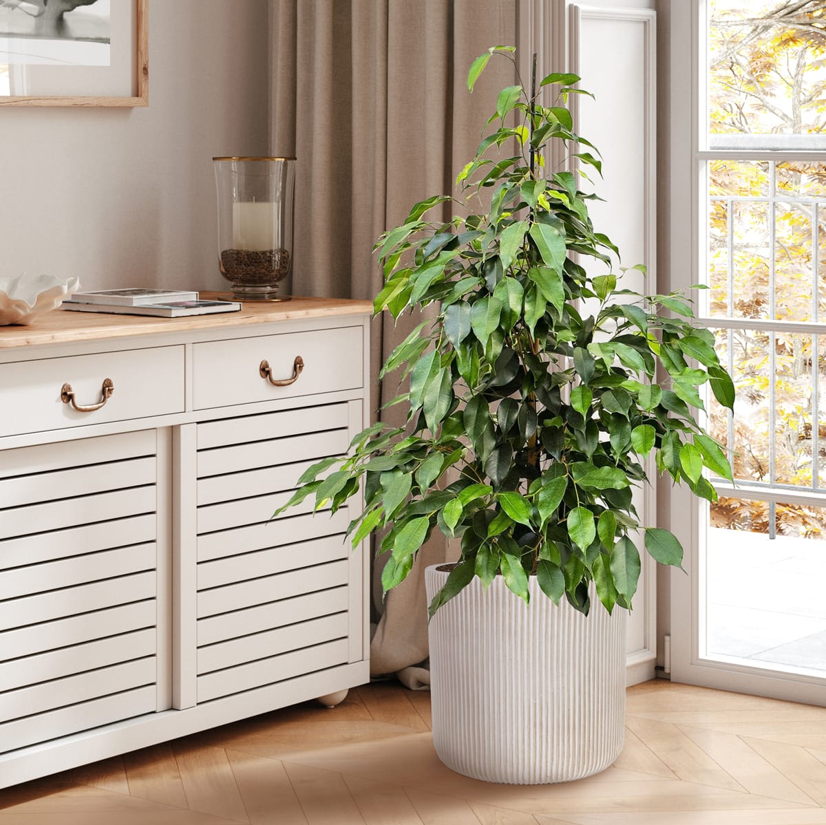 Напольное кашпо для цветов IDEALIST Урбан, круглое, бежевое, Д45 В45 см, 62 л, 8.5 кг фотография №10 Напольное кашпо для цветов IDEALIST Урбан, круглое, бежевое, Д45 В45 см, 62 л, 8.5 кг фотография №10