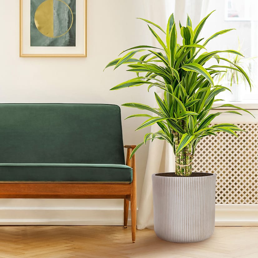 Напольное кашпо для цветов IDEALIST Урбан, круглое, бежевое, Д45 В45 см, 62 л, 8.5 кг фотография №12 Напольное кашпо для цветов IDEALIST Урбан, круглое, бежевое, Д45 В45 см, 62 л, 8.5 кг фотография №12