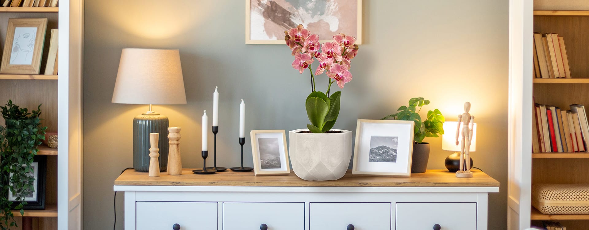 Настольные кашпо