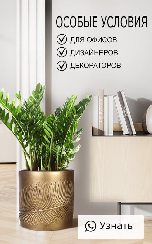 Искусственный бамбук японский в сером кашпо на ножках IDEALIST. Высота - 120 см.